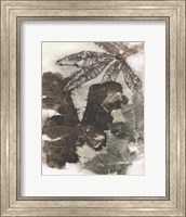 Oak Leaves Fine Art Print
