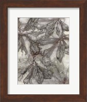 Water Oak Leaves Fine Art Print