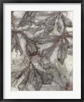 Water Oak Leaves Fine Art Print