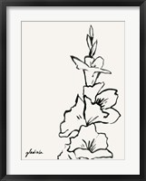 Gladiola Sketch IV Framed Print