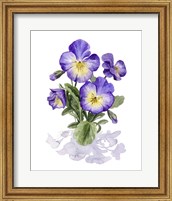 Viola Pansies I Fine Art Print