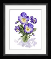 Viola Pansies I Framed Print