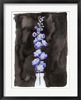 Blue Delphinium I Fine Art Print