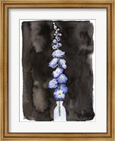 Blue Delphinium II Fine Art Print