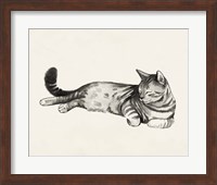 Cat Laze II Fine Art Print