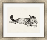 Cat Laze II Fine Art Print