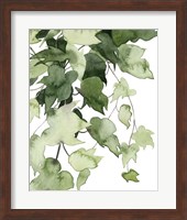 Emerald Vines I Fine Art Print