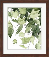 Emerald Vines II Fine Art Print