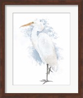 Coastal Heron I Fine Art Print