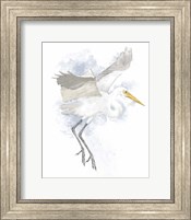 Coastal Heron II Fine Art Print