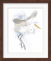 Coastal Heron II Fine Art Print