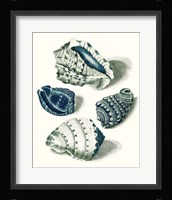 Celadon Shells I Fine Art Print