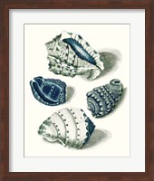 Celadon Shells I Fine Art Print