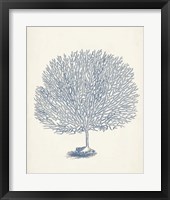 Antique Coral Collection I Fine Art Print