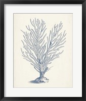 Antique Coral Collection II Fine Art Print