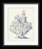 Antique Coral Collection IV Framed Print