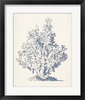 Antique Coral Collection IV Fine Art Print