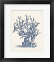 Antique Coral Collection V Fine Art Print