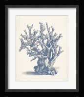 Antique Coral Collection V Fine Art Print
