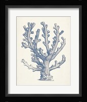 Antique Coral Collection VI Framed Print