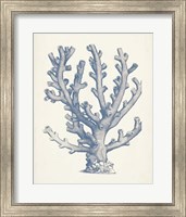 Antique Coral Collection VI Fine Art Print