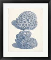 Antique Coral Collection VIII Fine Art Print