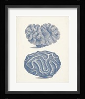 Antique Coral Collection IX Fine Art Print