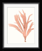 Vivid Coral Seaweed IV Fine Art Print