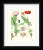Bright Botanicals II Framed Print