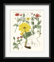 Bright Botanicals IV Framed Print