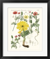 Bright Botanicals IV Framed Print