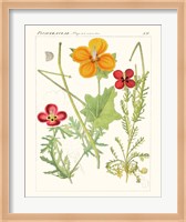Bright Botanicals V Fine Art Print