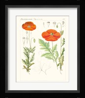 Bright Botanicals VI Framed Print