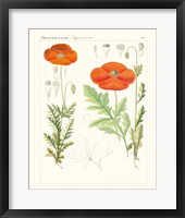 Bright Botanicals VI Fine Art Print