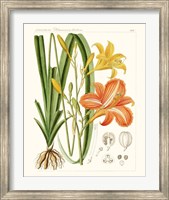Bright Botanicals VIII Fine Art Print