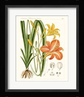 Bright Botanicals VIII Framed Print