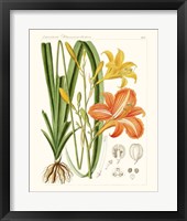 Bright Botanicals VIII Framed Print
