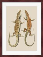 Antique Lizards I Fine Art Print