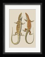 Antique Lizards I Fine Art Print