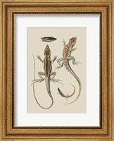 Antique Lizards II Fine Art Print