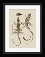 Antique Lizards II Fine Art Print