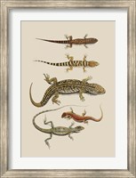 Antique Lizards III Fine Art Print