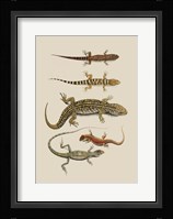 Antique Lizards III Fine Art Print