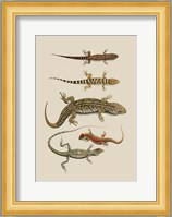 Antique Lizards III Fine Art Print