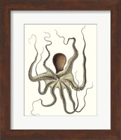 Antique Octopus Collection I Fine Art Print