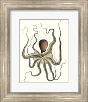 Antique Octopus Collection I Fine Art Print
