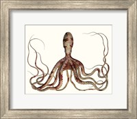 Antique Octopus Collection II Fine Art Print