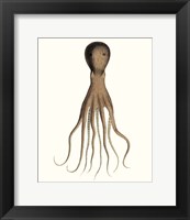 Antique Octopus Collection III Fine Art Print