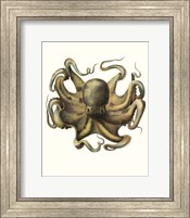 Antique Octopus Collection VII Fine Art Print