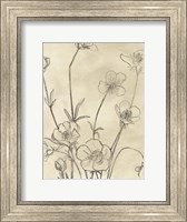 Vintage Wildflowers I Fine Art Print